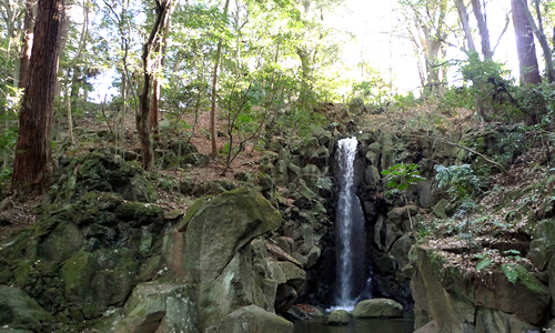 成田山公園の雄飛の滝