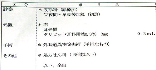 耳鼻咽喉科 耳の中異物除去 診療明細書